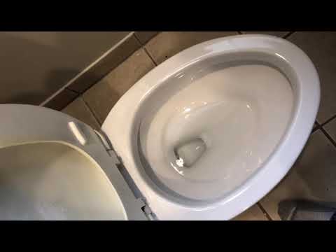 TOTO Entrada Toilet
