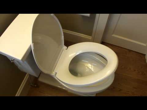 Kohler Tresham K-3950 Toilet Review