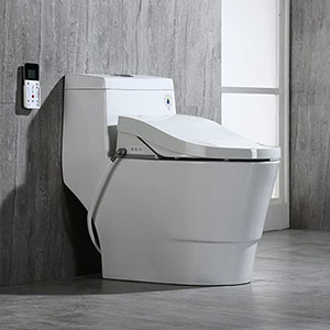 Woodbridge T-0008 - Best Woodbridge Toilet (table)
